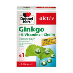 Ginkgo + B-Vitamine + Cholin Kapseln 40 St., 22,2 g